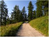 Palafavera - Rifugio Sonino al Coldai